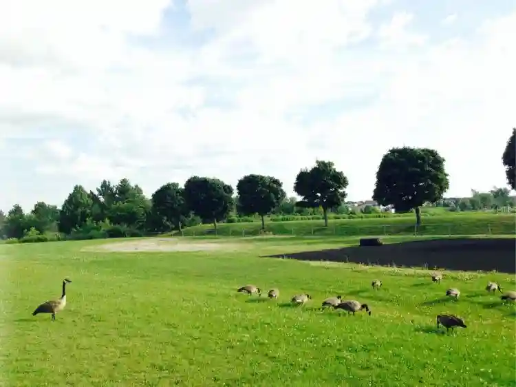 留学加拿大第一的多伦多大学，回国认可度高吗？