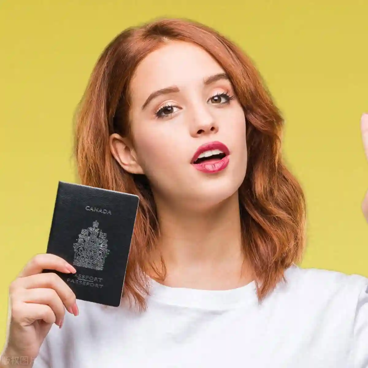 加拿大永居移民监以及入籍要求详解！