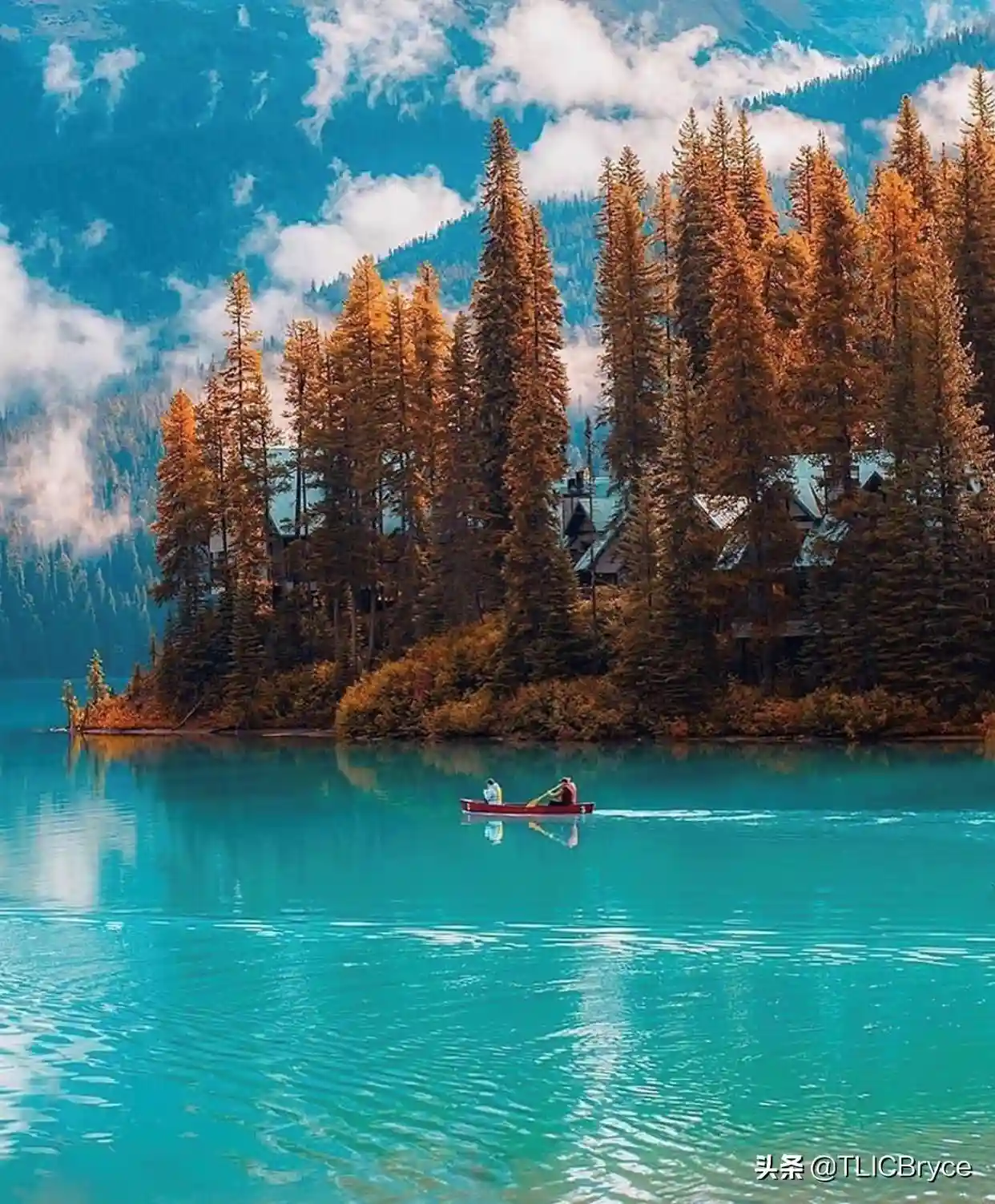 加拿大移民可行性分析